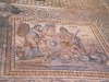 Zeugma 1