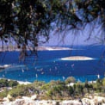 Foča, Izmir